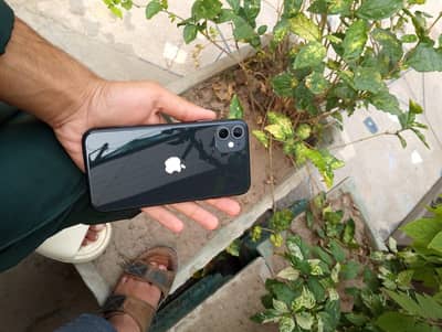 iphone 11 bh 99%