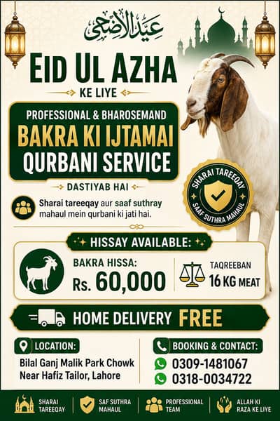Qurbani hissa ( cow / Bull ) - ijtamai qurbani | Bachra | Vacha |Goat