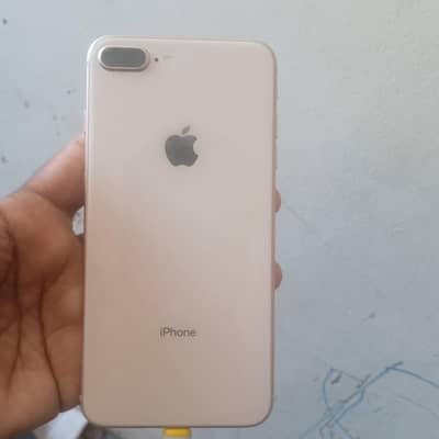 256       gb