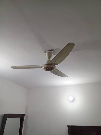 Roof fan