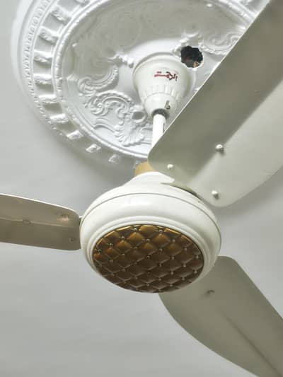 normal fan 200Watt
