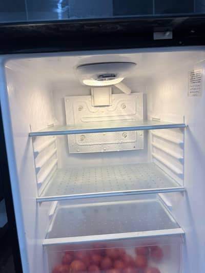 waves fridge