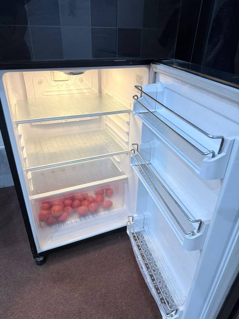 waves fridge 1