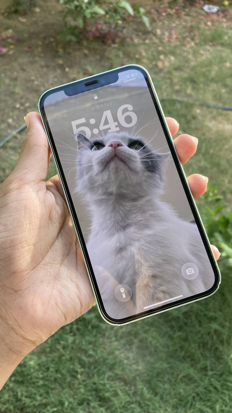 Apple iPhone 12 1