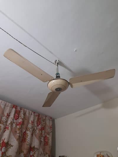ceiling fan for sale