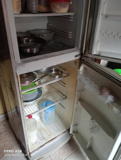 sall the fridge condition all ok