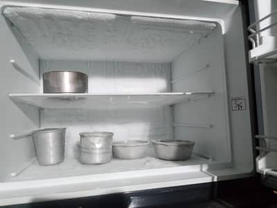 Fridge For Sale