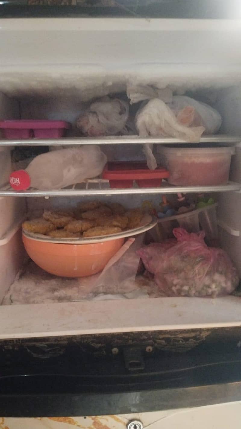 frige 1