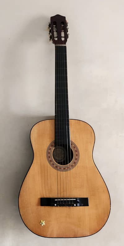 Dragon fly classical guitar