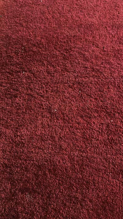 fluffy thick carpet