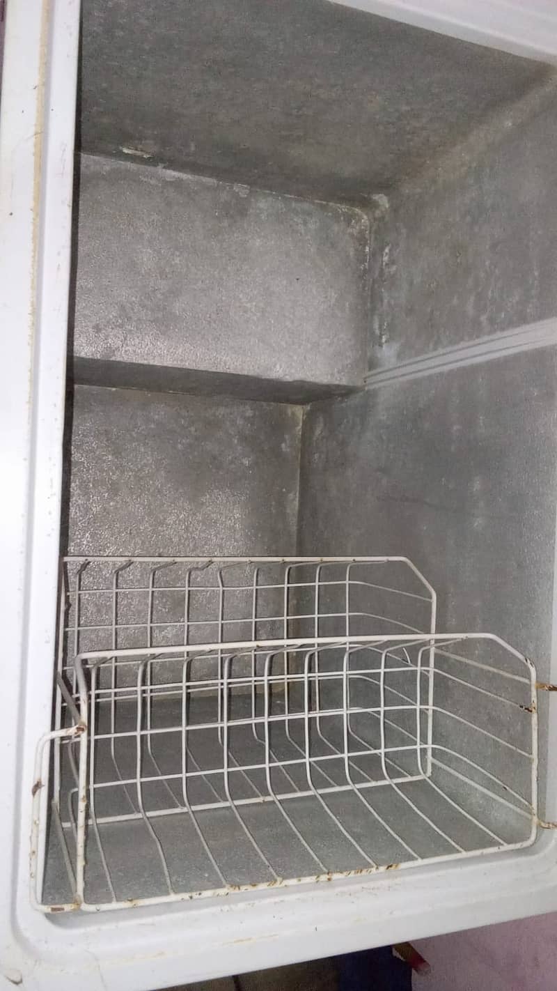 Waves single door deep freezer 2