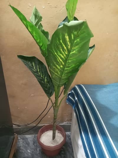 artificial plant