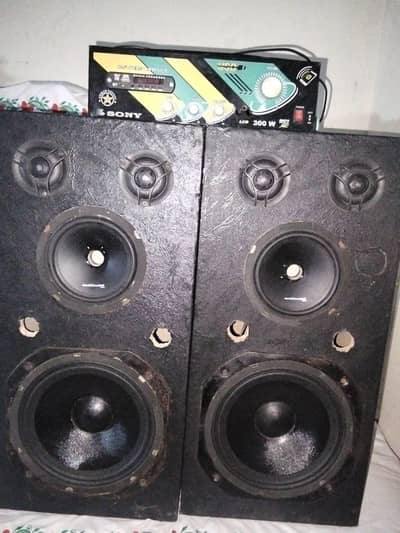 speaker woofer and amplifier