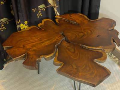 Wood log table