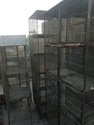 all cages for sell
