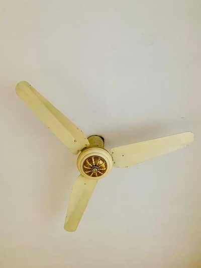 Ceiling Fan