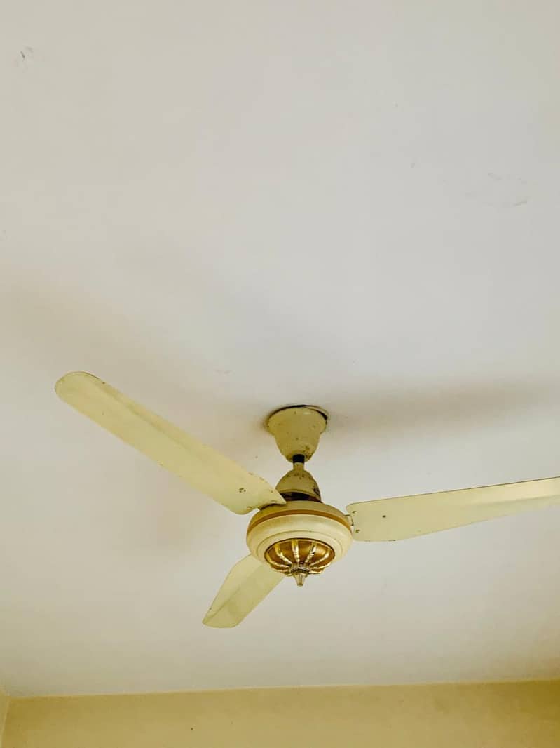 Ceiling Fan 1