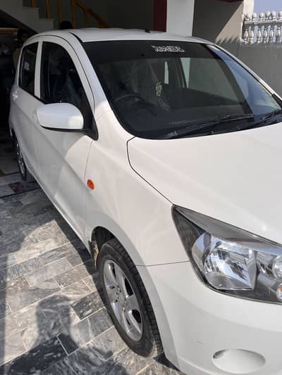 Cultus 2021 For Sale