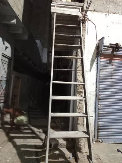 12 feet lakri for sale