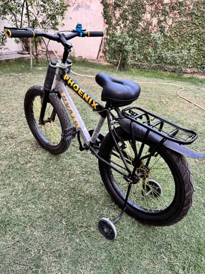 Neat and Clean Kids New Cycle