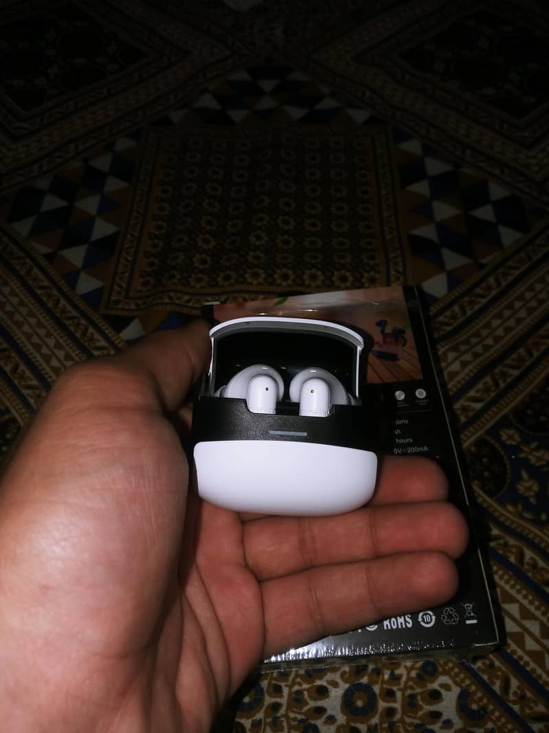 earphones 1