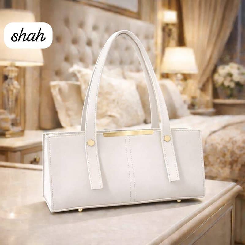 hand bag 2