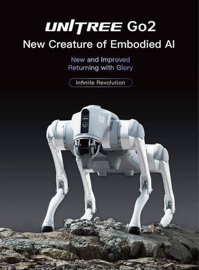 Unitree Go2 Air Robot Dog in Pakistan | AI Demo & STEM Use
