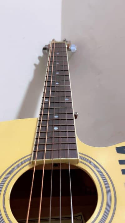 faires new guitar