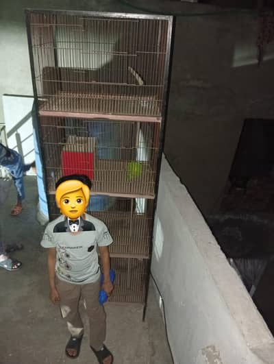 Birds 4 portion Cage 0304/47/37/649 only whtsapp