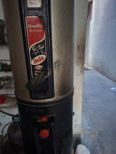 Geyser for sale