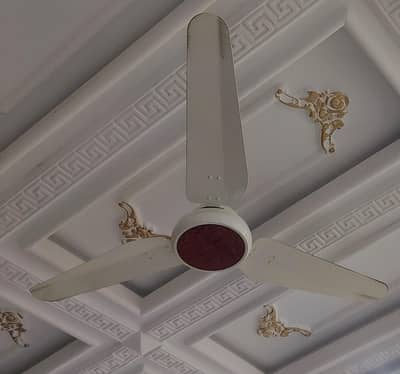 ceiling fan