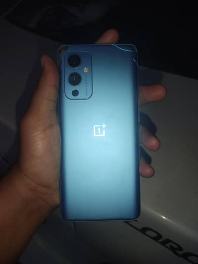 One plus 9 dual sim 12/256 only panel damage