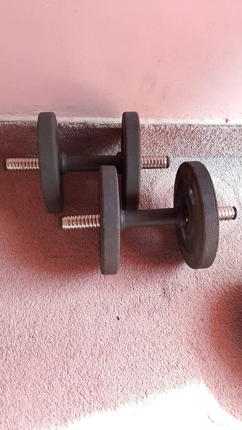 Adjustable Dumbles 1