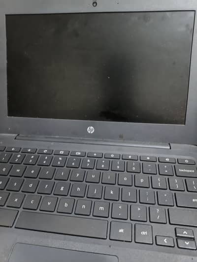 hp Chromebook