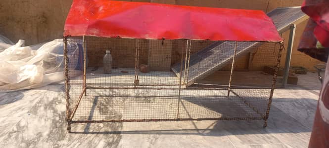 hen cage
