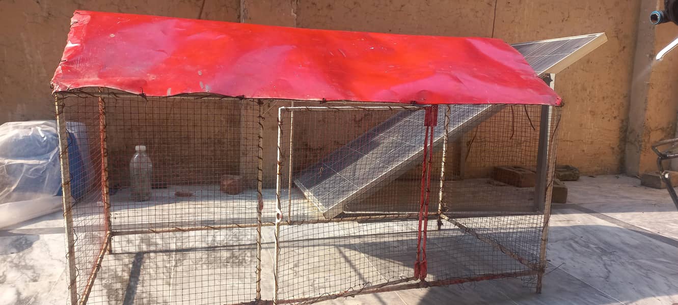 hen cage 3
