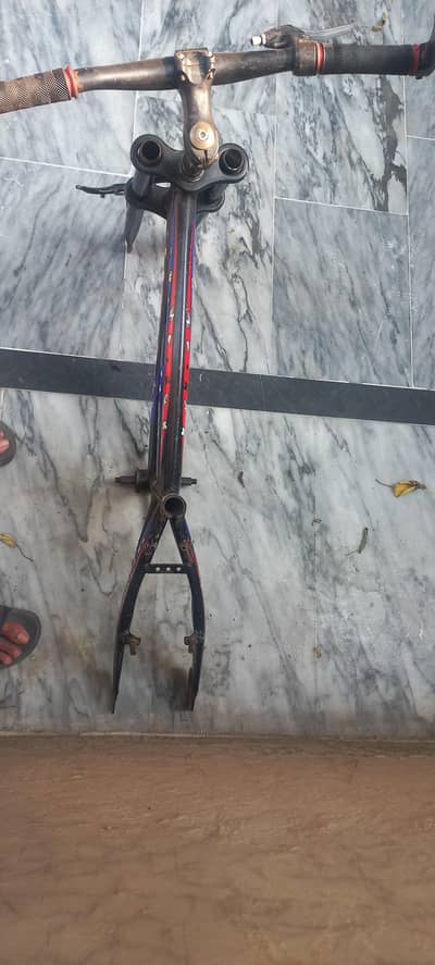 cycle frame