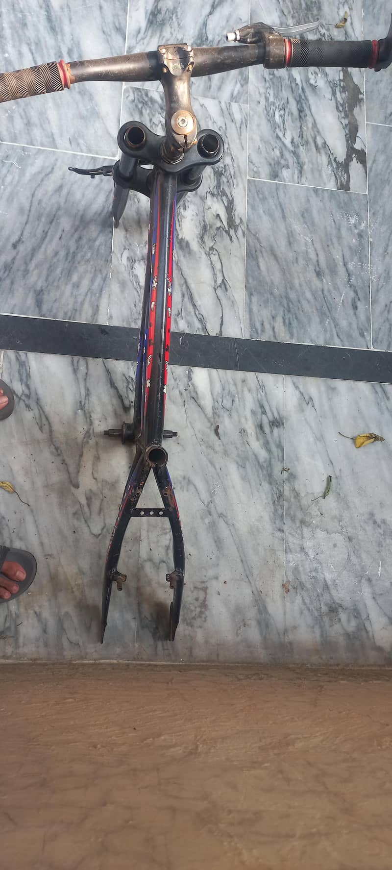 cycle frame 0