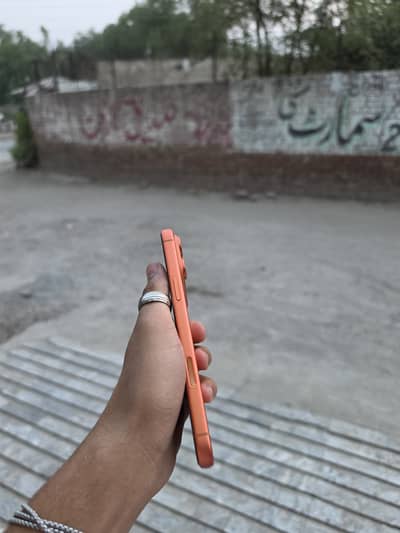 17 pro max