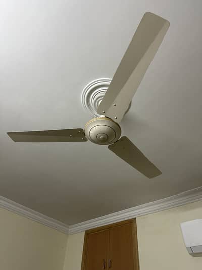 General fan company with offwhite colour