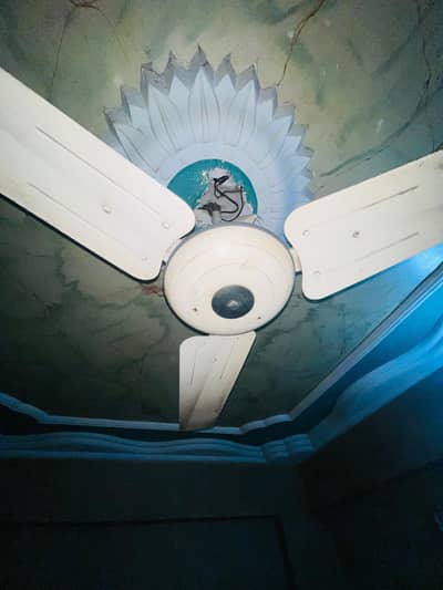 Room fan