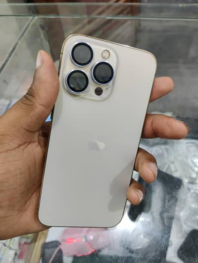 iphone 13 pro  bye pass