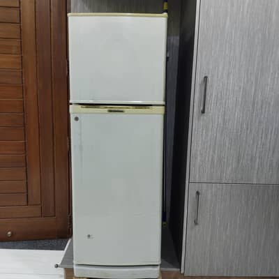 Dawlance medium size double door refrigerator