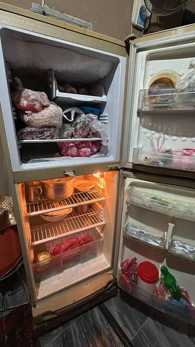 PEL Refrigerator