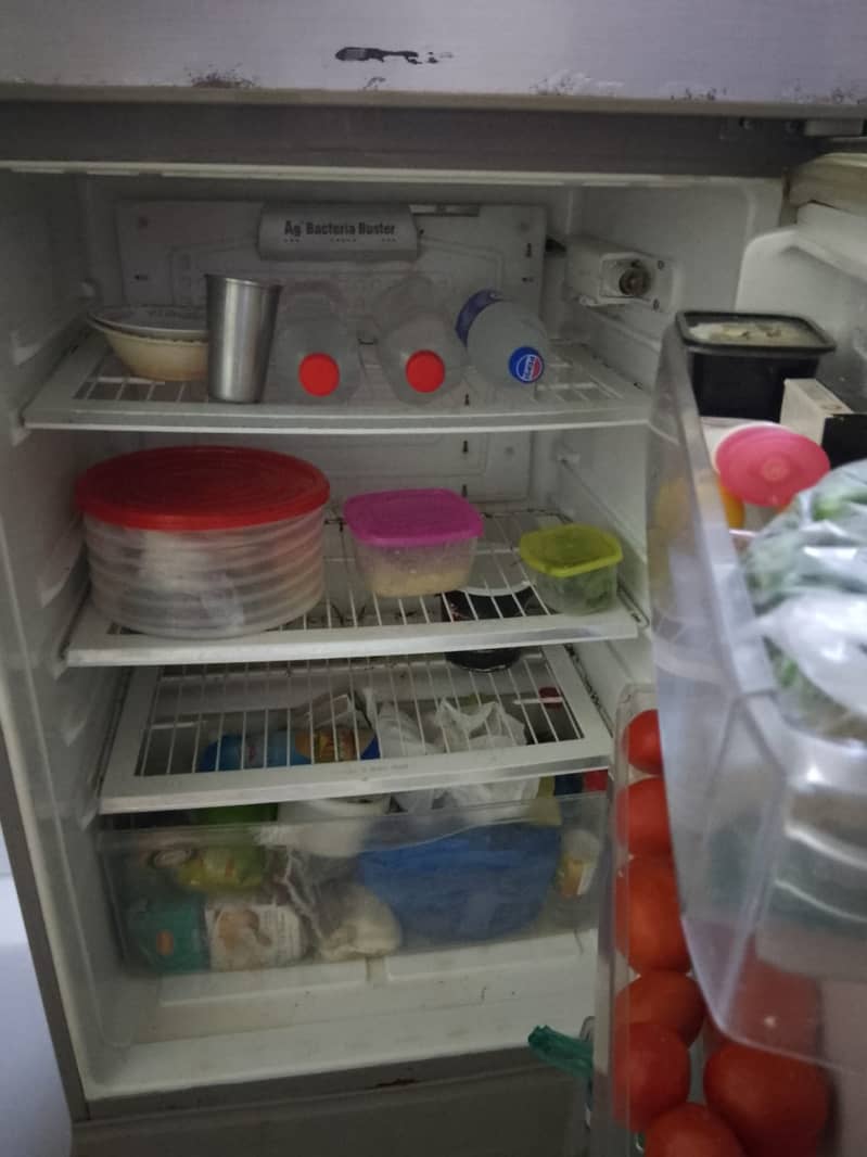 Fridge 2