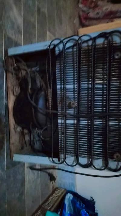 small fridge room size