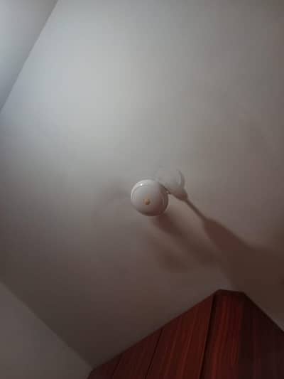one fan