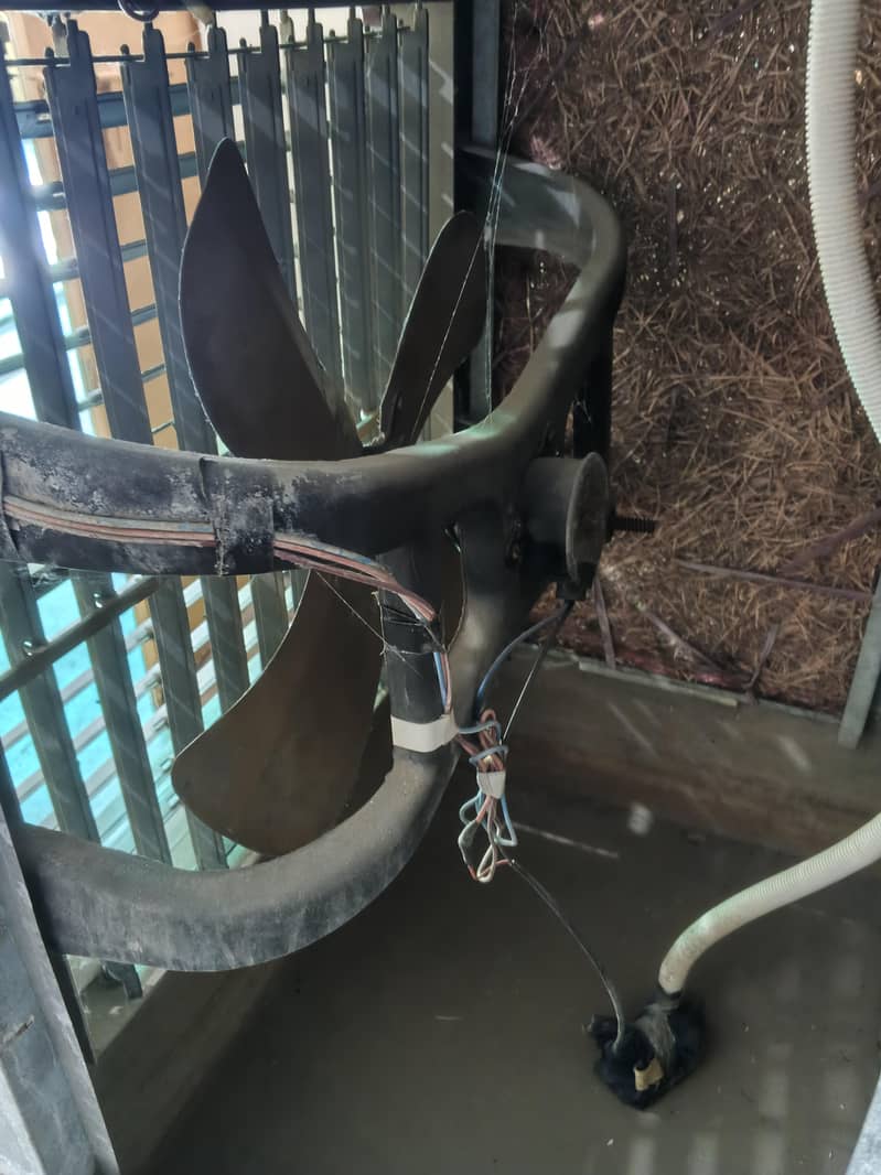 Solar cooler 0