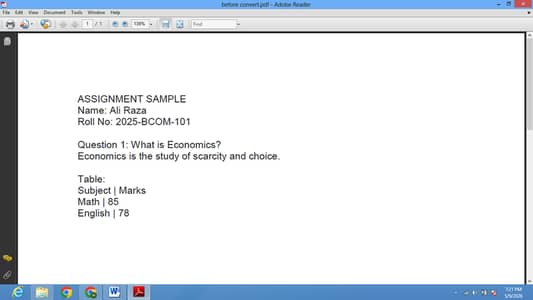 PDF to word/Excel Typing in 2 Hours - MSC Finance