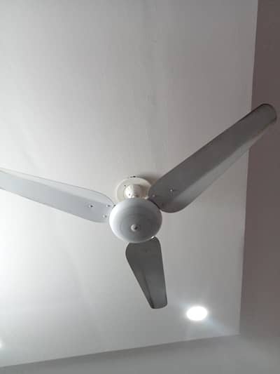 SK fan